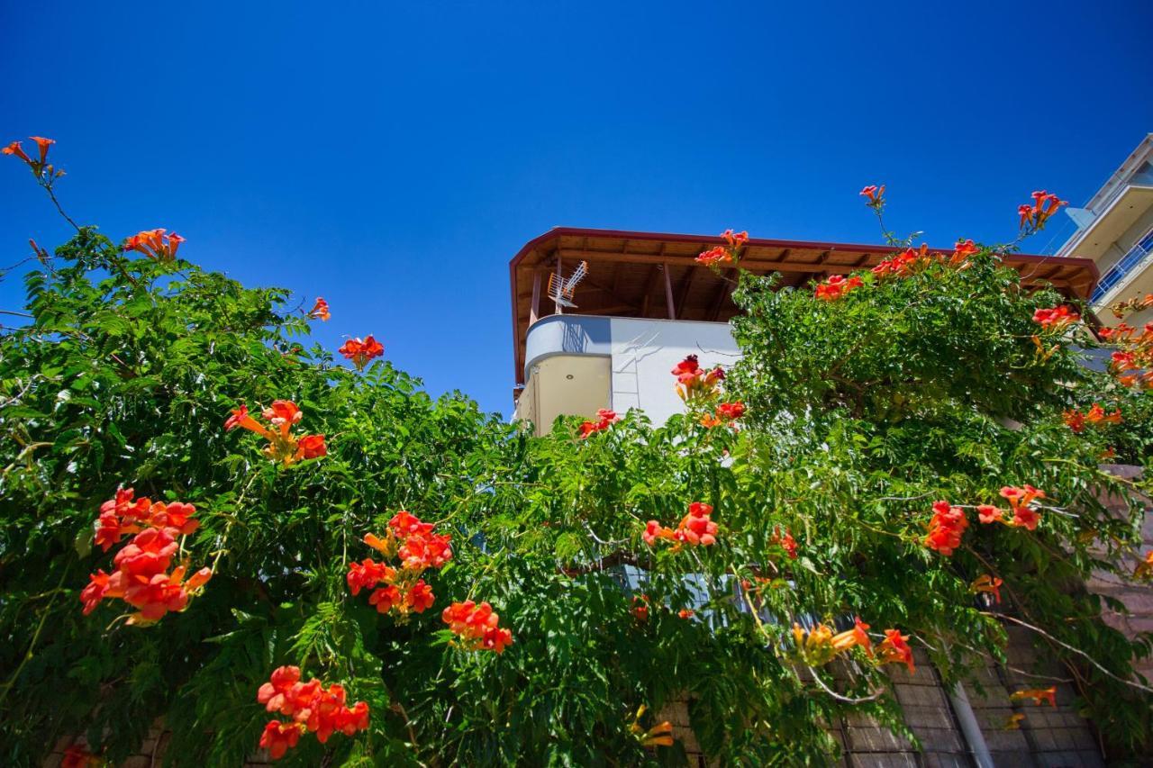 Villa Roel Sarandë Exteriör bild